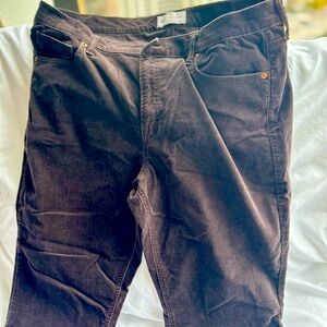 Gap velvet pants